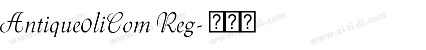 Antique0liCom Reg字体转换